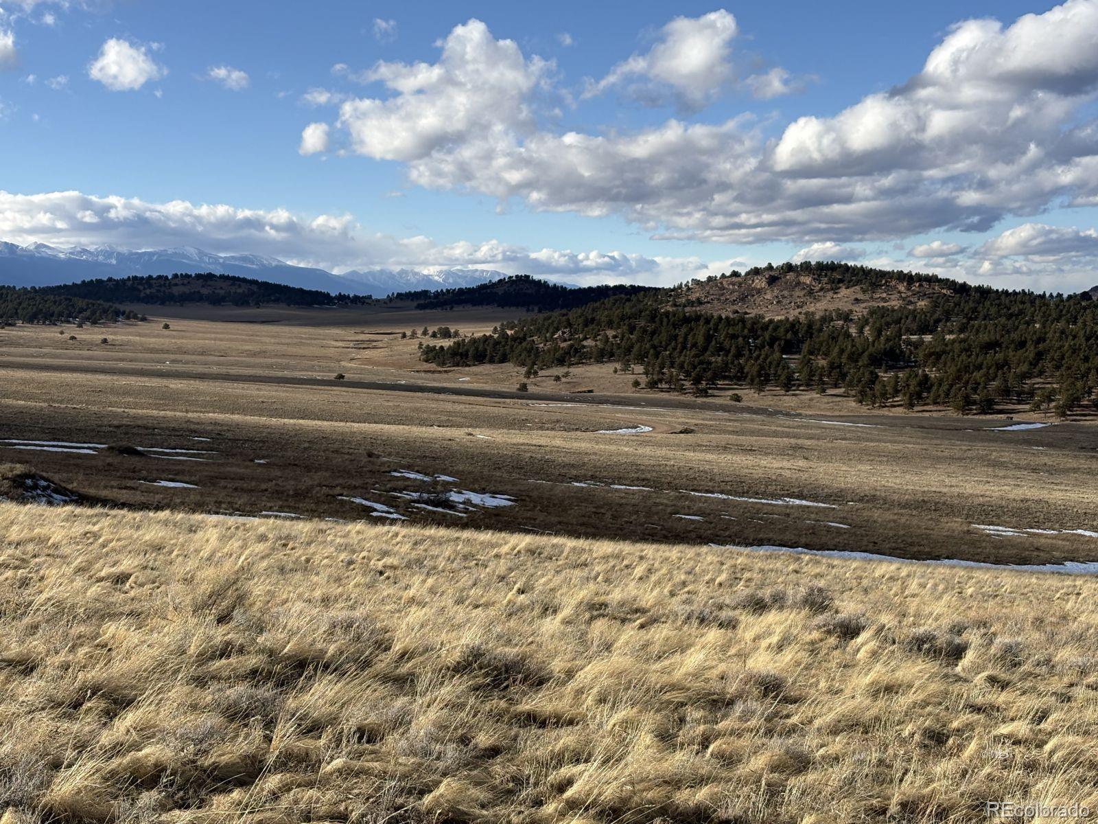 Lot 29 Eagle Springs Road Westcliffe CO 81252