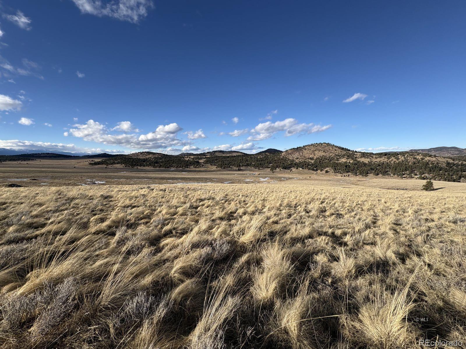 Lot 29 Eagle Springs Road Westcliffe CO 81252