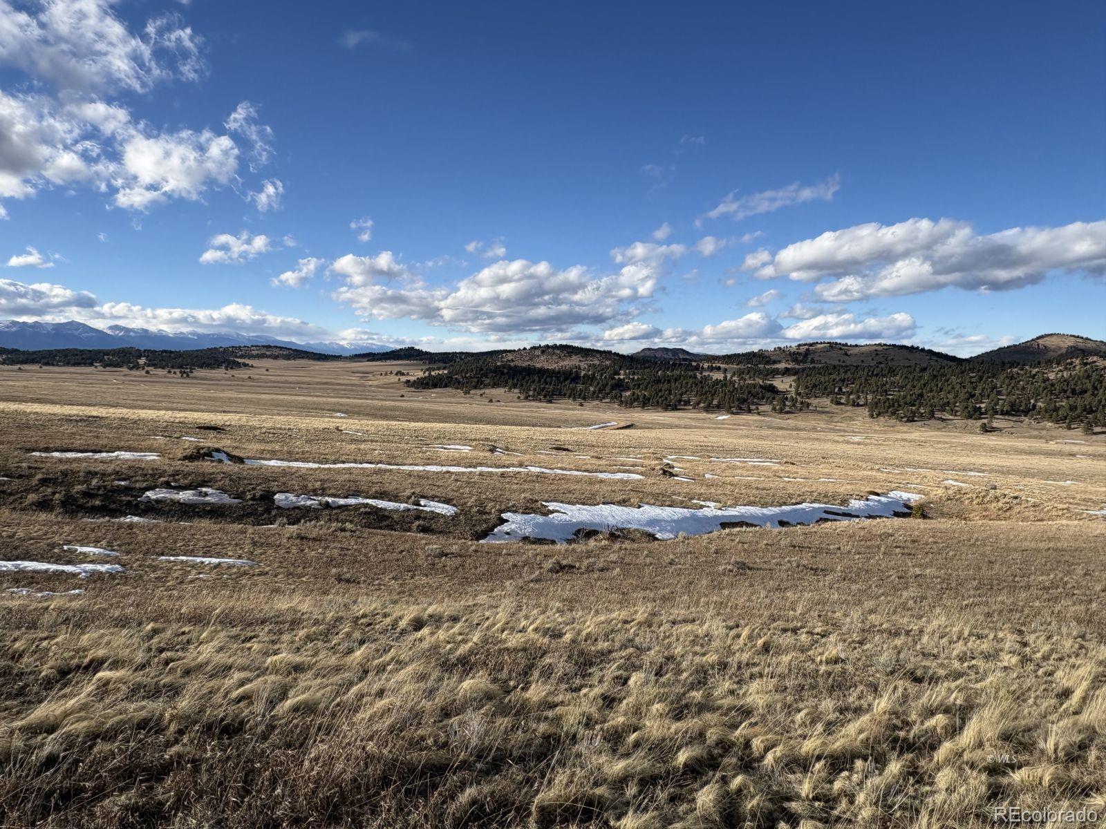 Lot 29 Eagle Springs Road Westcliffe CO 81252