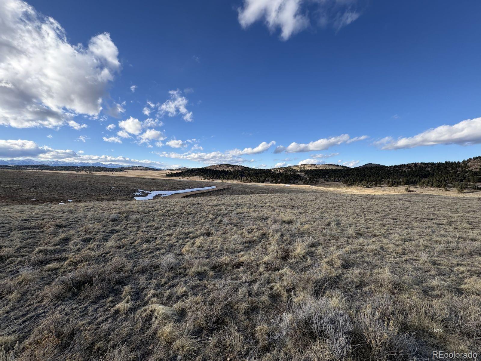 Lot 29 Eagle Springs Road Westcliffe CO 81252