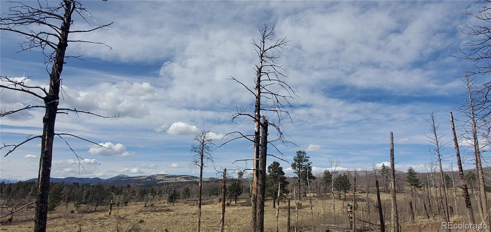 Lot 1224 Emery Loop Fort Garland CO 81133