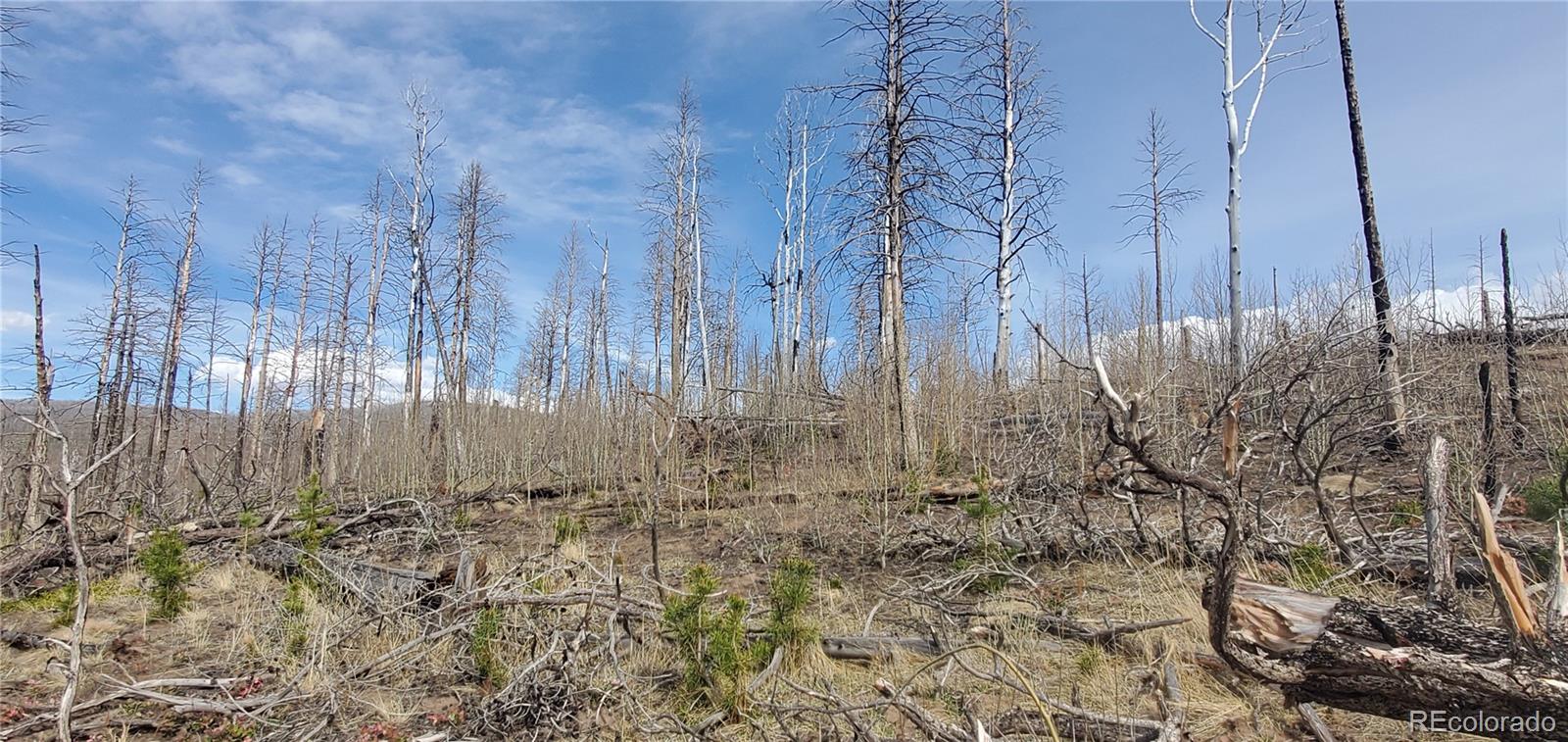 Lot 1224 Emery Loop Fort Garland CO 81133