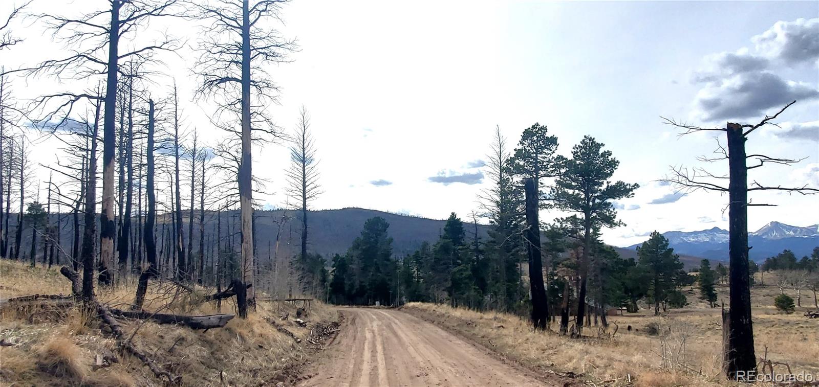 Lot 1224 Emery Loop Fort Garland CO 81133