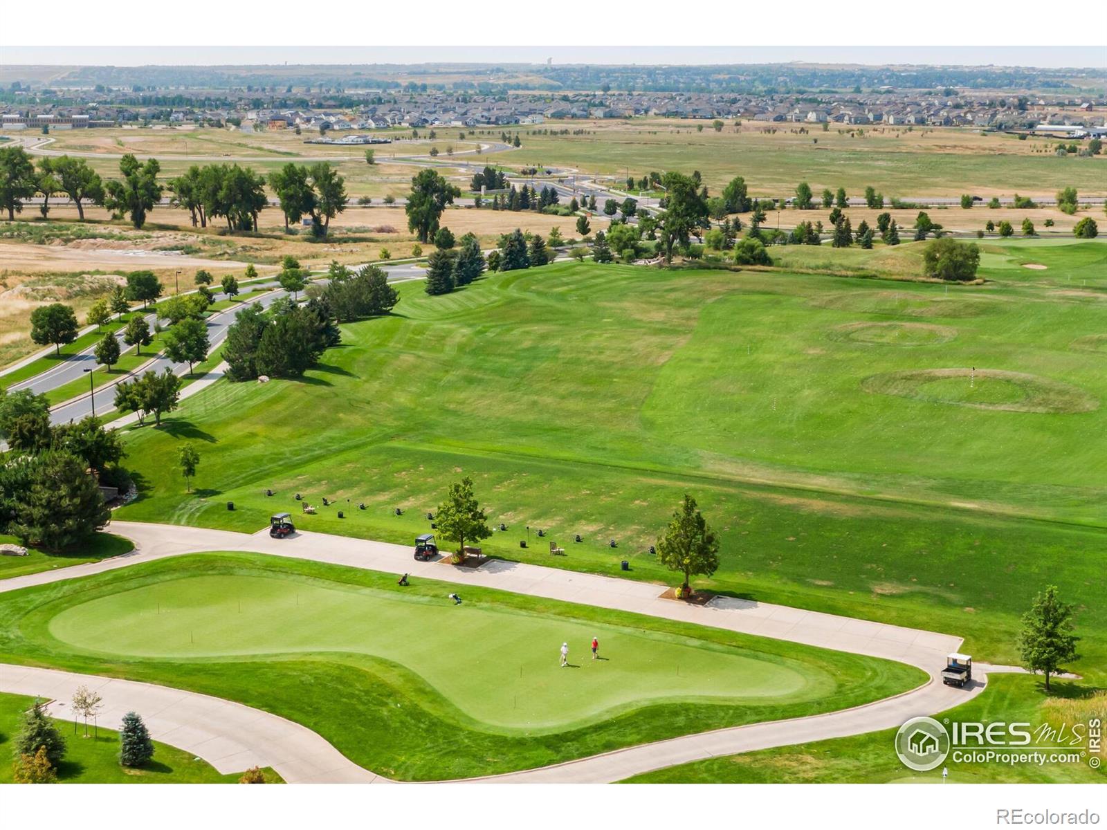 3711 Tall Grass Court Timnath CO 80547