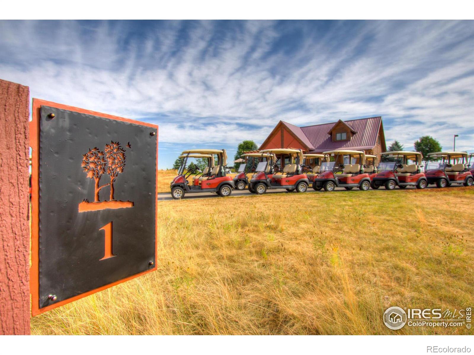 3711 Tall Grass Court Timnath CO 80547