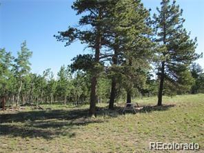 257 Bolster Drive Hartsel CO 80449