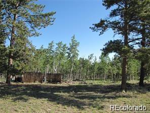 257 Bolster Drive Hartsel CO 80449
