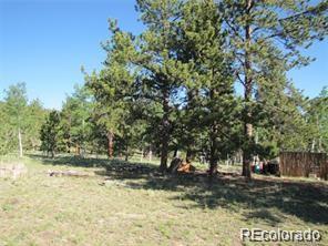 257 Bolster Drive Hartsel CO 80449