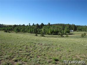 257 Bolster Drive Hartsel CO 80449