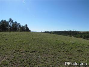 257 Bolster Drive Hartsel CO 80449