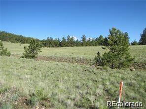 257 Bolster Drive Hartsel CO 80449