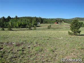 257 Bolster Drive Hartsel CO 80449
