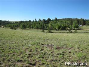 257 Bolster Drive Hartsel CO 80449