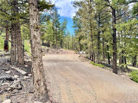 2843 Redhill Road Fairplay CO 80440