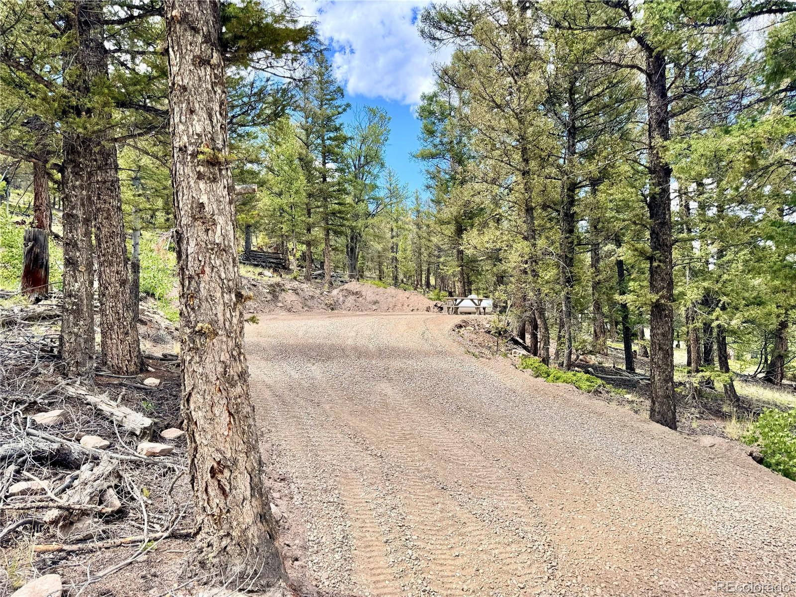 2843 Redhill Road Fairplay CO 80440