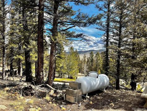 2843 Redhill Road Fairplay CO 80440