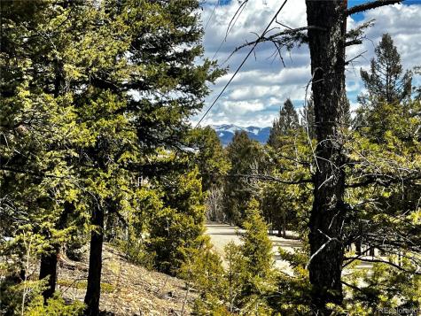 2843 Redhill Road Fairplay CO 80440