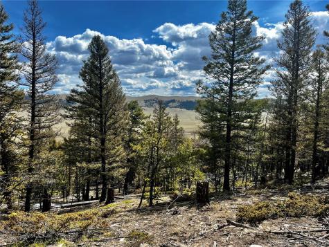 2843 Redhill Road Fairplay CO 80440