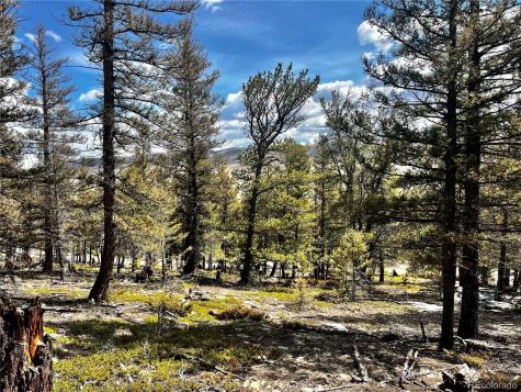 2843 Redhill Road Fairplay CO 80440