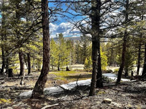 2843 Redhill Road Fairplay CO 80440