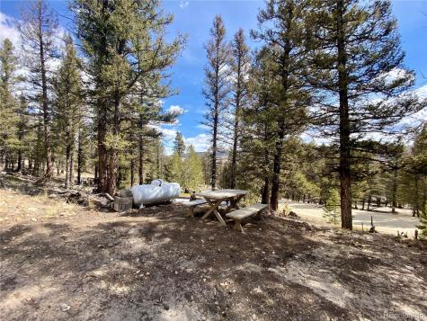 2843 Redhill Road Fairplay CO 80440