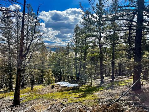 2843 Redhill Road Fairplay CO 80440