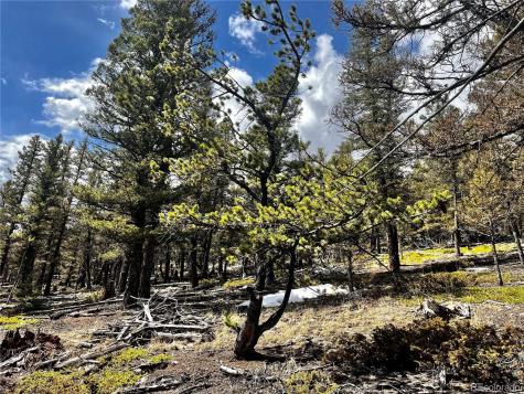 2843 Redhill Road Fairplay CO 80440