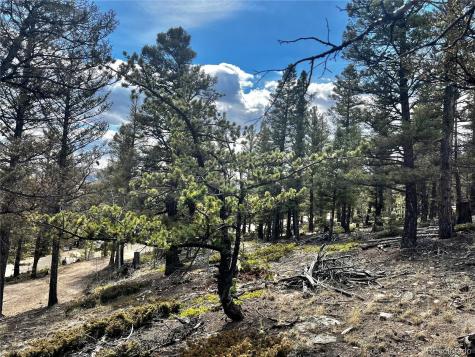 2843 Redhill Road Fairplay CO 80440