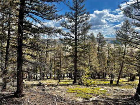 2843 Redhill Road Fairplay CO 80440