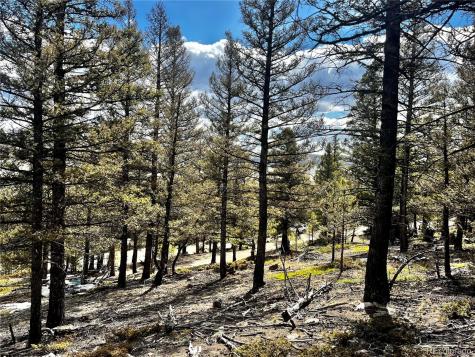 2843 Redhill Road Fairplay CO 80440