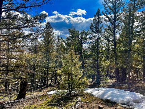 2843 Redhill Road Fairplay CO 80440