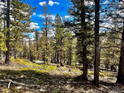 2843 Redhill Road Fairplay CO 80440