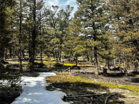 2843 Redhill Road Fairplay CO 80440