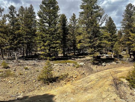 2843 Redhill Road Fairplay CO 80440