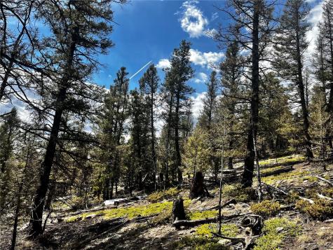 2843 Redhill Road Fairplay CO 80440