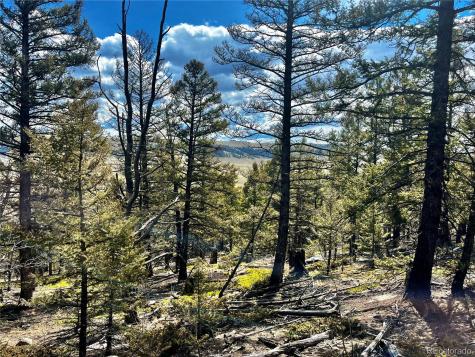 2843 Redhill Road Fairplay CO 80440