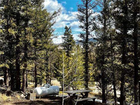 2843 Redhill Road Fairplay CO 80440