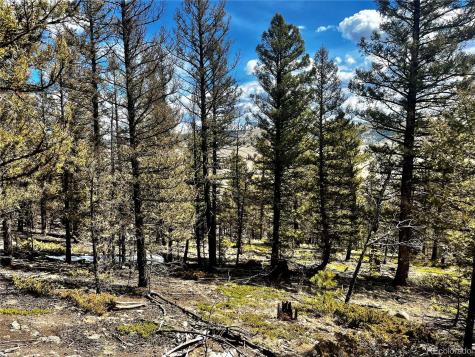 2843 Redhill Road Fairplay CO 80440