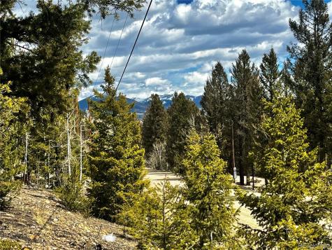 2843 Redhill Road Fairplay CO 80440