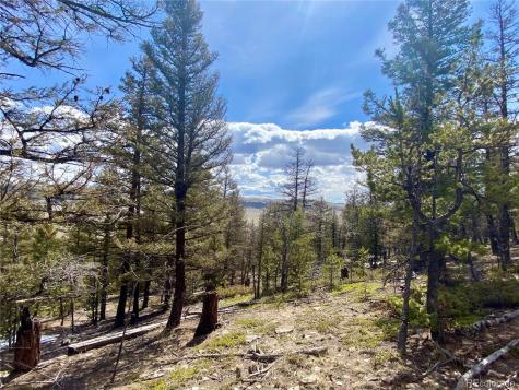 2843 Redhill Road Fairplay CO 80440