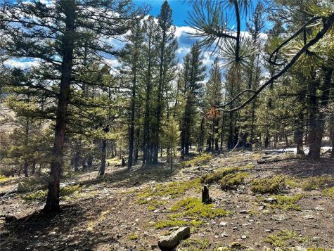 2843 Redhill Road Fairplay CO 80440