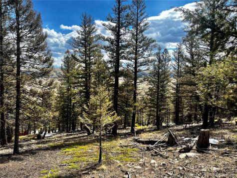 2843 Redhill Road Fairplay CO 80440