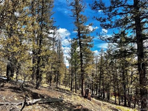 2843 Redhill Road Fairplay CO 80440