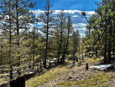 2843 Redhill Road Fairplay CO 80440