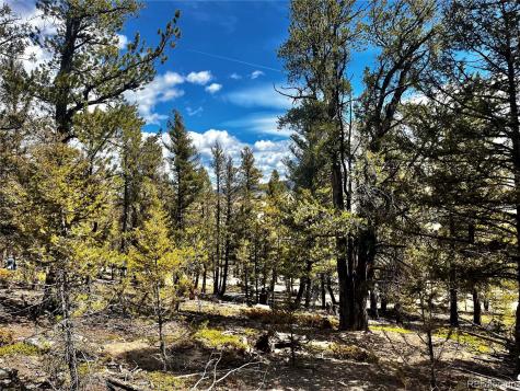 2843 Redhill Road Fairplay CO 80440