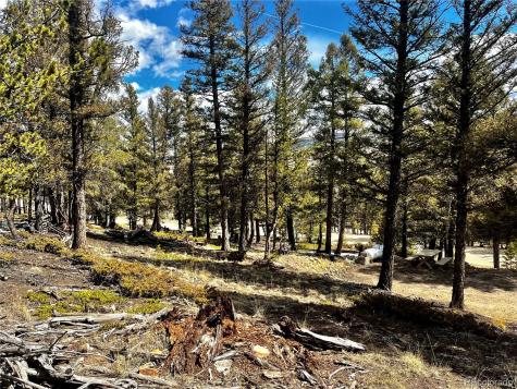 2843 Redhill Road Fairplay CO 80440