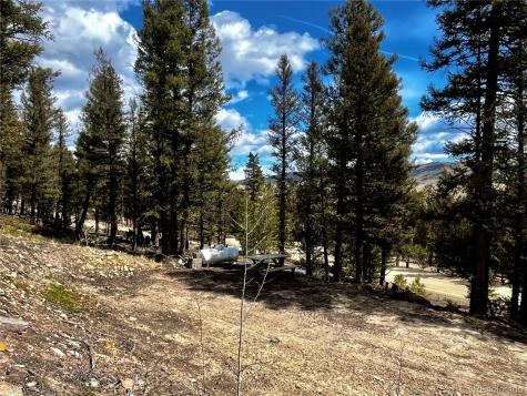 2843 Redhill Road Fairplay CO 80440