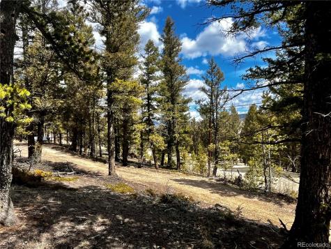 2843 Redhill Road Fairplay CO 80440