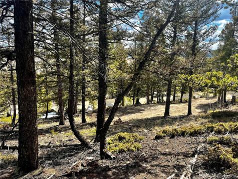 2843 Redhill Road Fairplay CO 80440