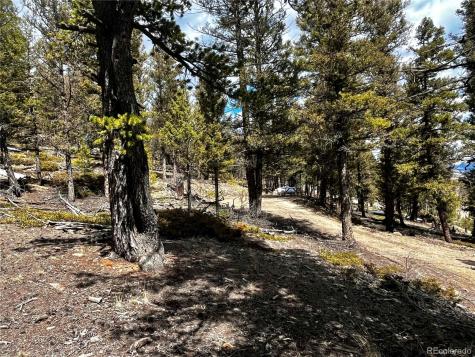 2843 Redhill Road Fairplay CO 80440